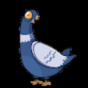 Meet your Posher, Ian